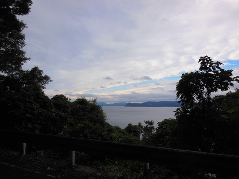DSCN6781