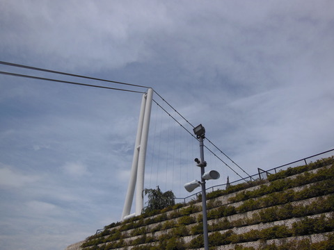 DSCN1921
