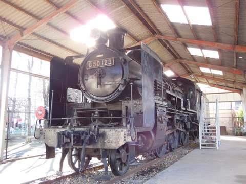 DSCN5313