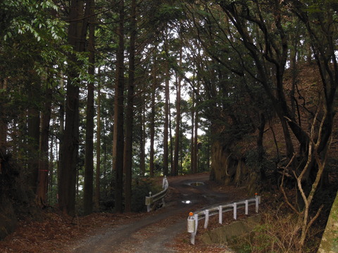 DSCN4018