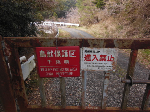 DSCN3983