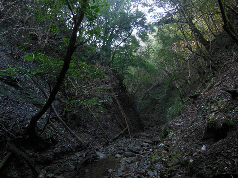 DSCN8673