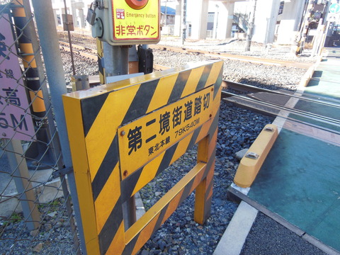 DSCN5301