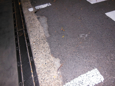 DSCN9236