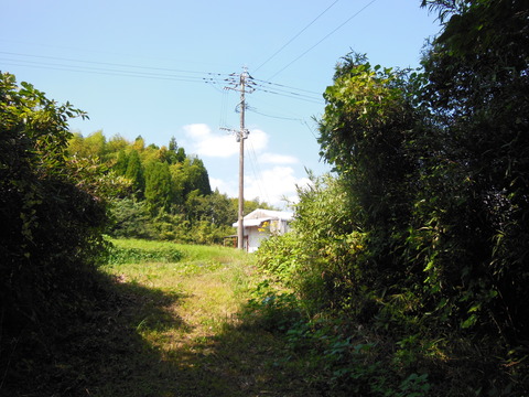 DSCN4772