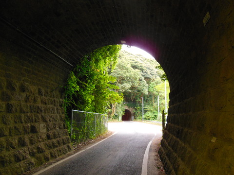 DSCN6795