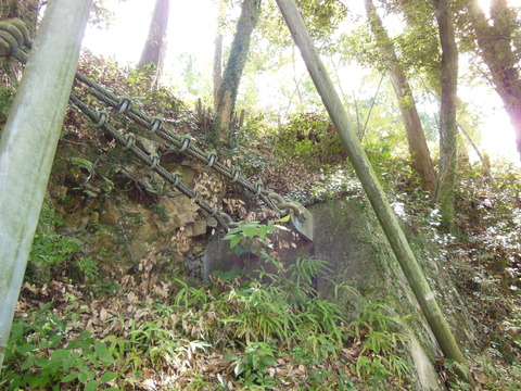 DSCN1976