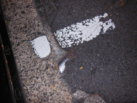 DSCN9237