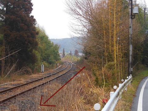 DSCN8508