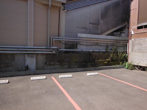 DSCN7667