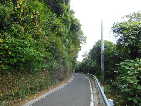 DSCN6821