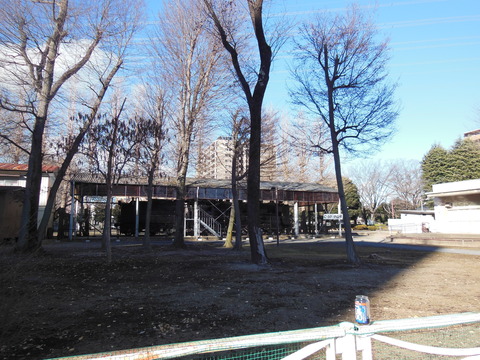 DSCN5310