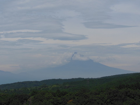 DSCN1882