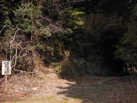 DSCN4215