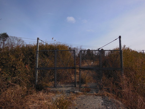 DSCN7039