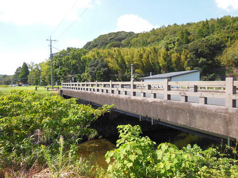DSCN4439