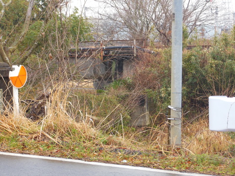 DSCN8503