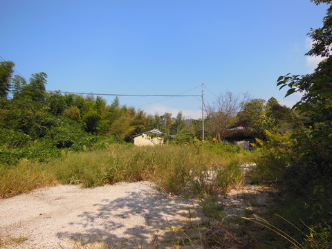 DSCN4824