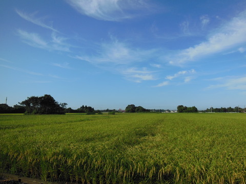 DSCN0094