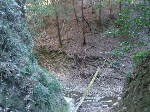 DSCF7835