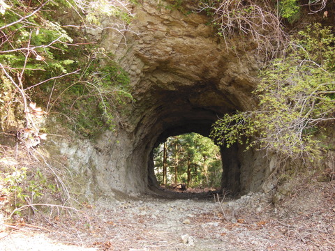 DSCN4212