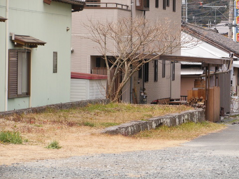 DSCN3763