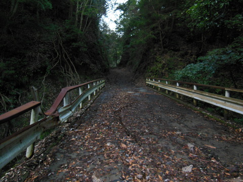 DSCN9082