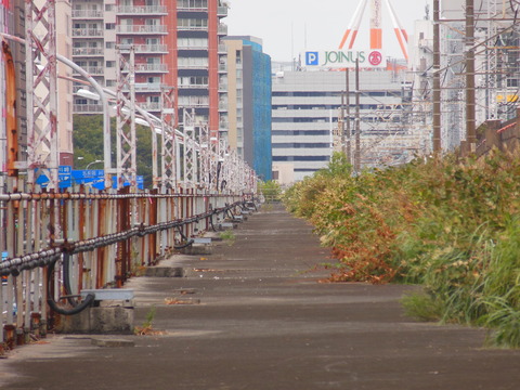 DSCN7742