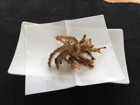 イメージ 3
