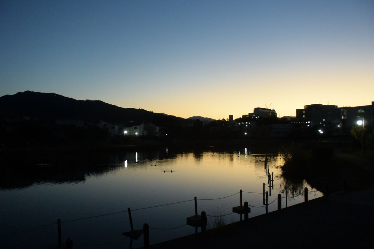 シドニーローイング日誌5 シドニーローイング日誌5