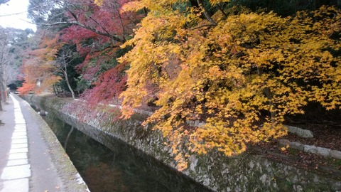 20191210122503_p