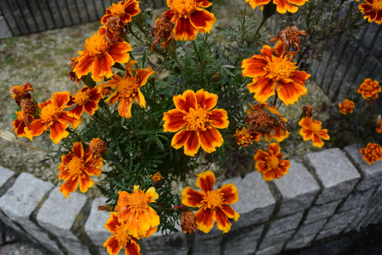 Jzsdujrvjr 7rm Jzsdujrvjr 7rm