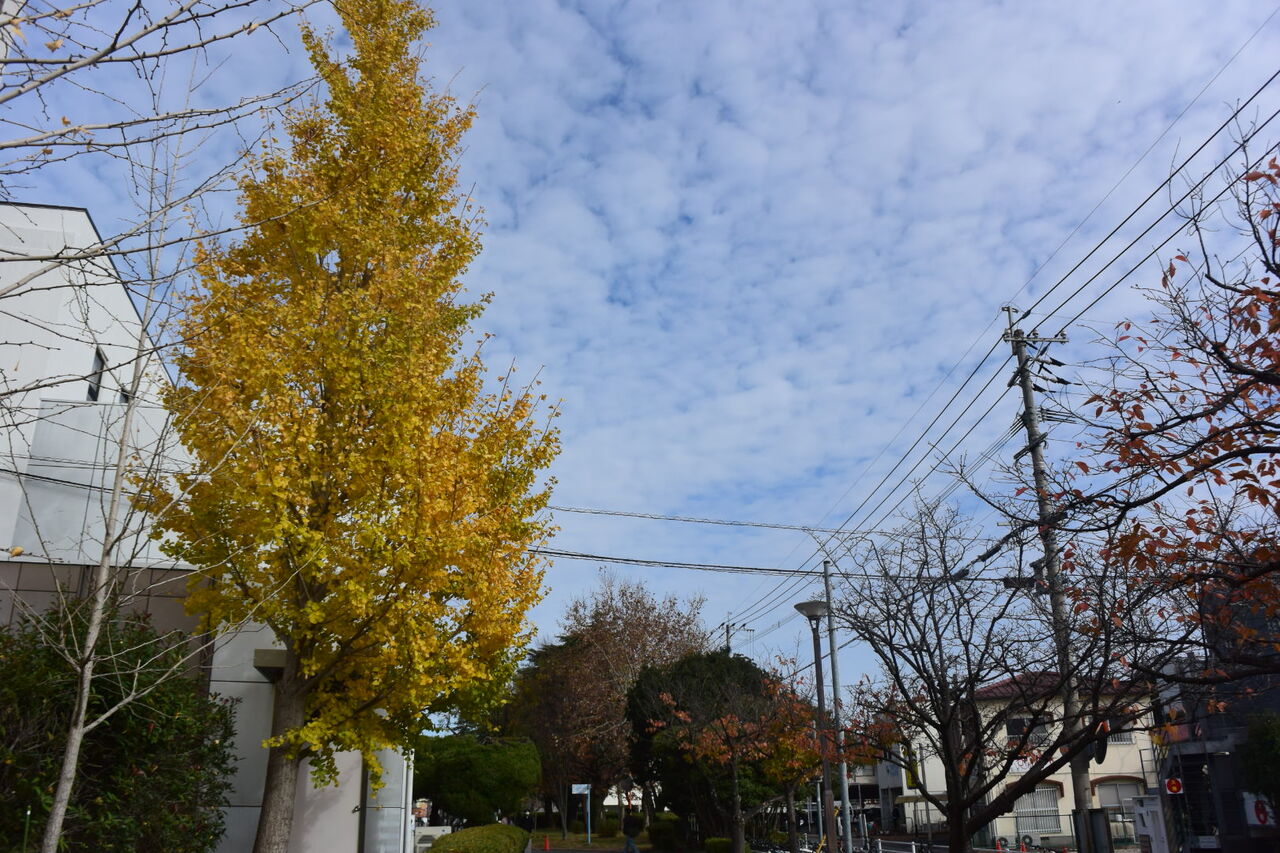 Jzsdujrvjr 7rm Jzsdujrvjr 7rm