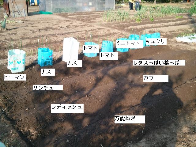 20110424植え付け