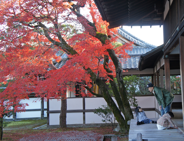 紅葉