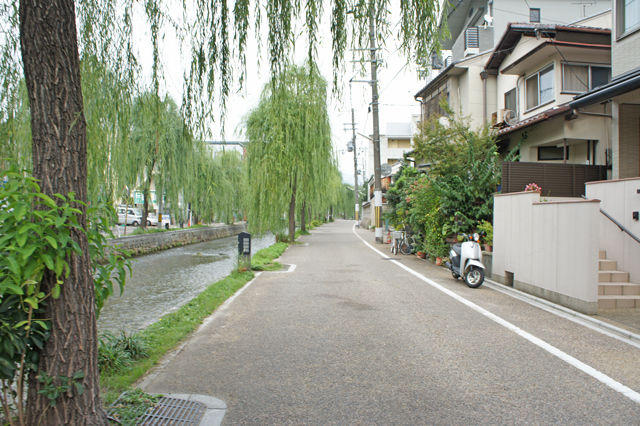 DSC08487