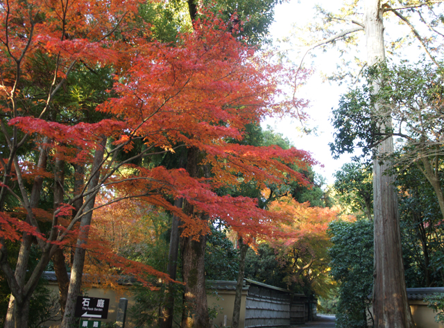 紅葉