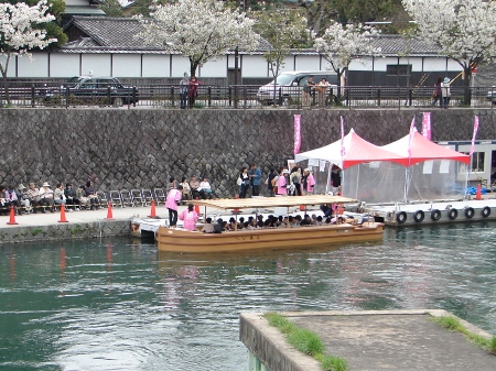 sakura8