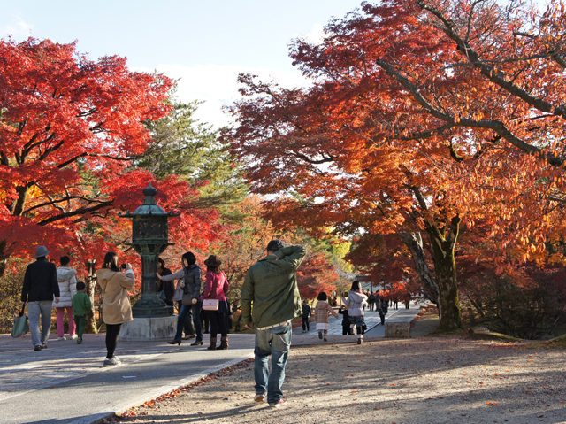 紅葉