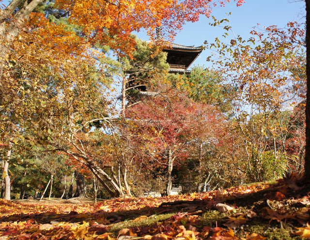紅葉