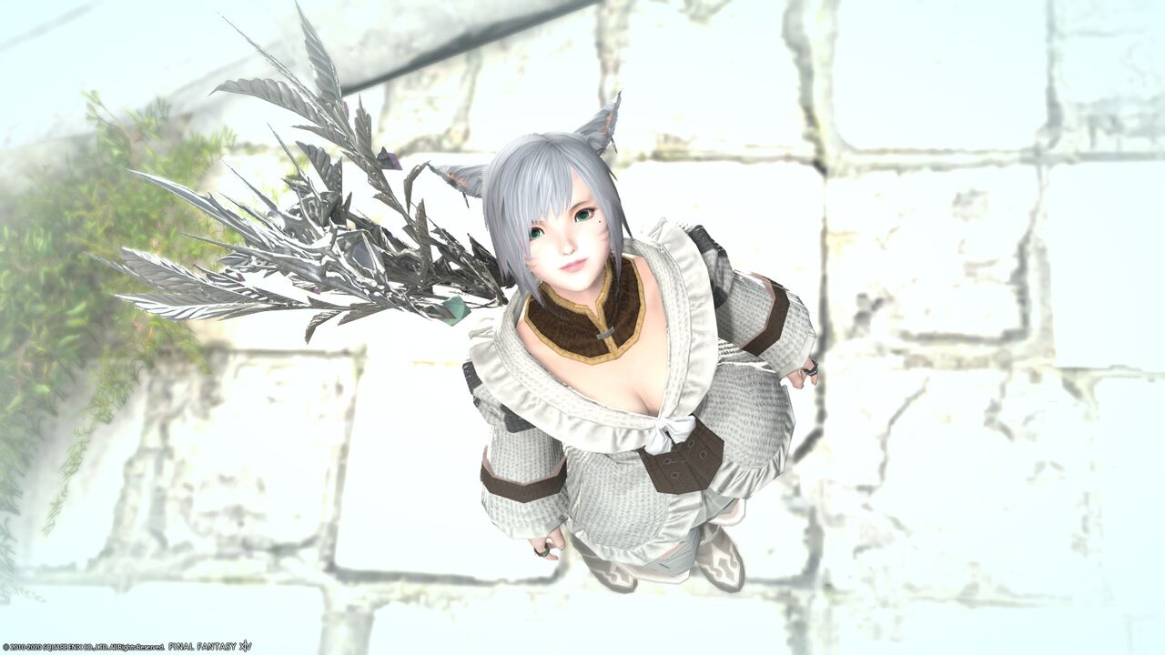 日記 Page7 ビギナー ソロを往く Ff14 ビギナー ソロを往く