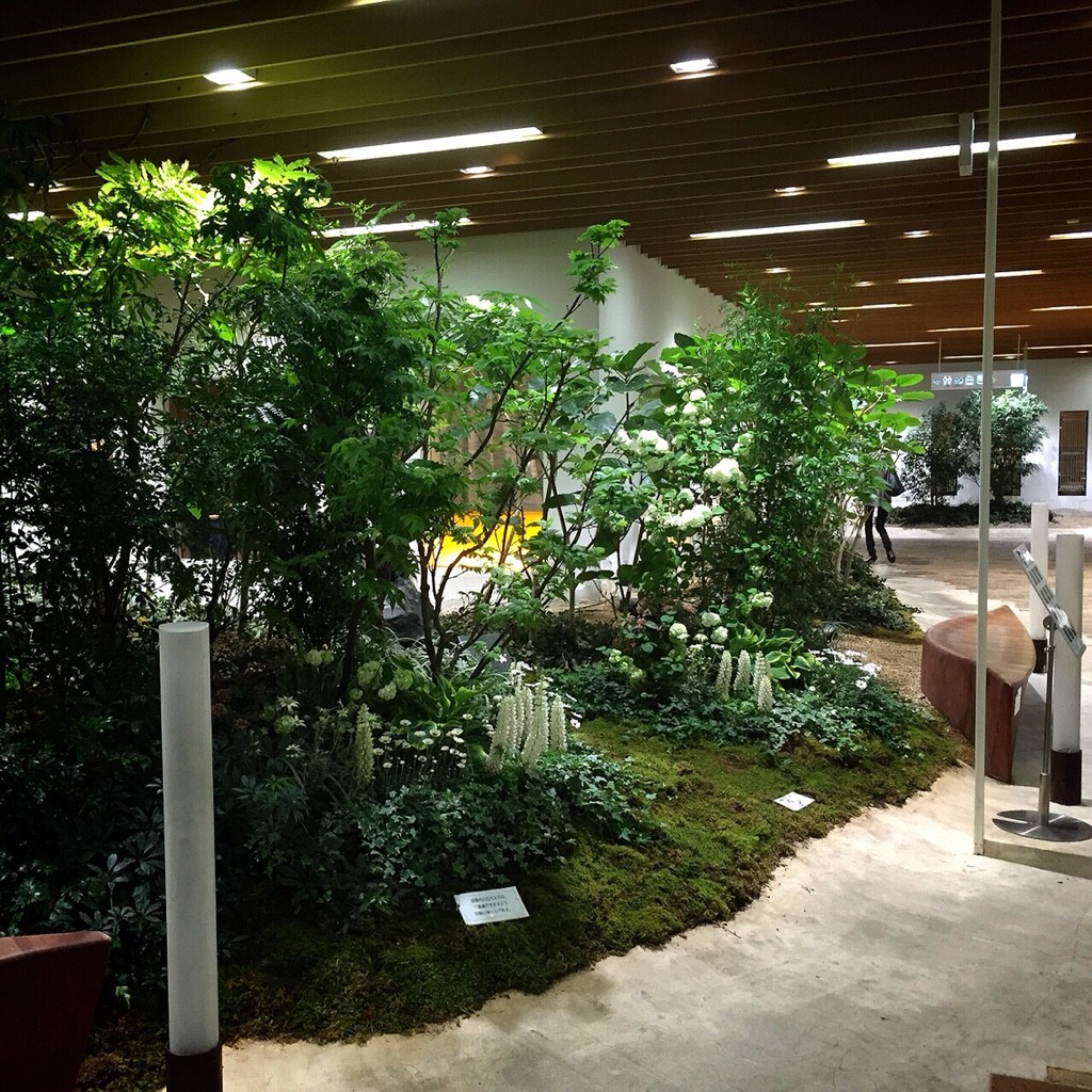 横浜 教えたくない美味しさ スフレパンケーキ サロン ド ウフエモア Salon De Oeufetmoi Tokyo Cafe Walk