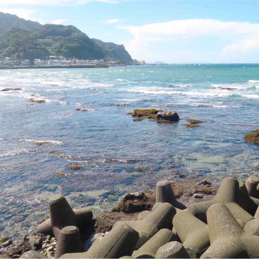千葉 都心から車で２時間弱 浜焼き食べ放題と浜遊び Tokyo Cafe Walk