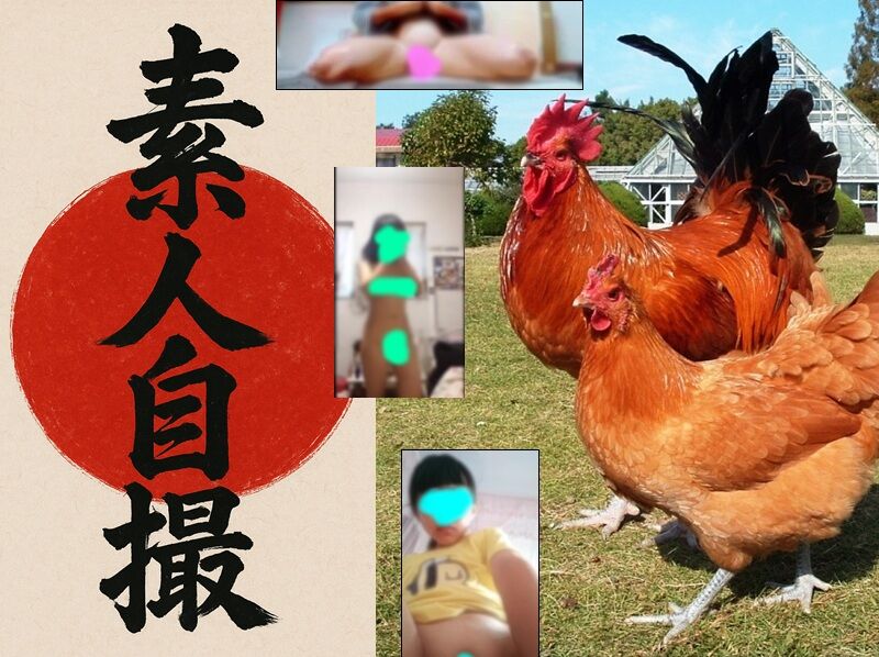 素人自撮り「悪戯な誘惑」商品一覧はヤバイ。 素人自撮り「悪戯な誘惑」商品一覧はヤバイ。