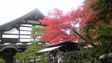 10f77199.jpg
