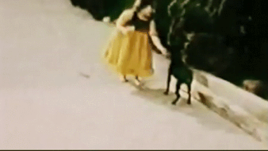 19 0330 平成最後 もっとブルース リーを Bruce Lee Research 19 0330 平成最後 もっとブルース リーを Bruce Lee Research