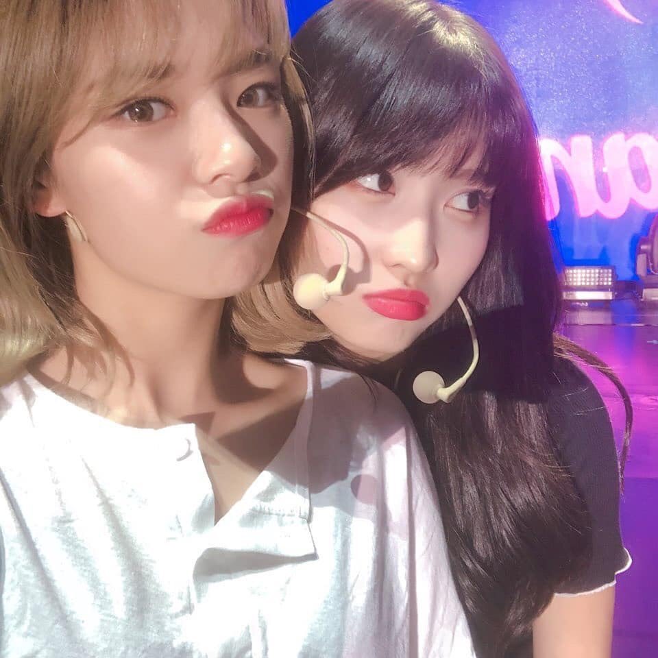 芸能 Twice デビュー当時を振り返り涙する シルバー速報 芸能 Twice デビュー当時を振り返り涙する シルバー速報