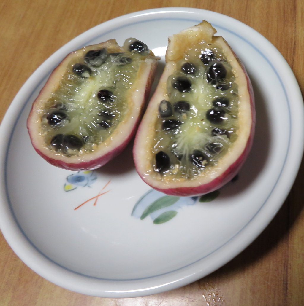 ムベの中身 みぞうえのblog