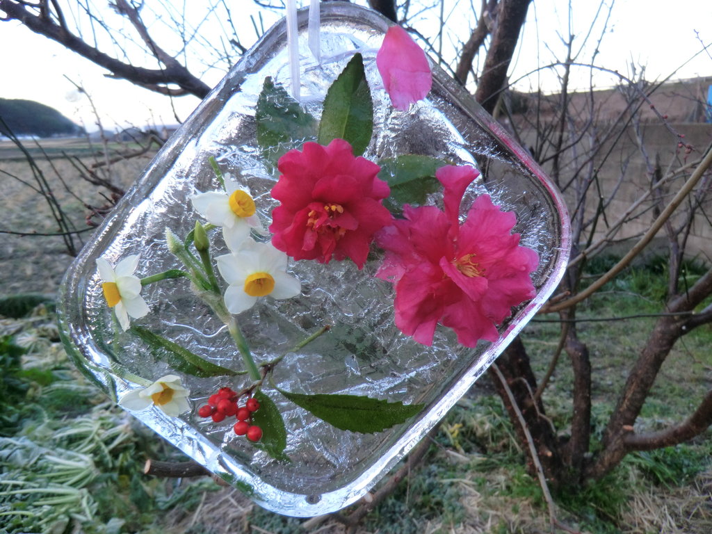 氷柱花 みぞうえのblog