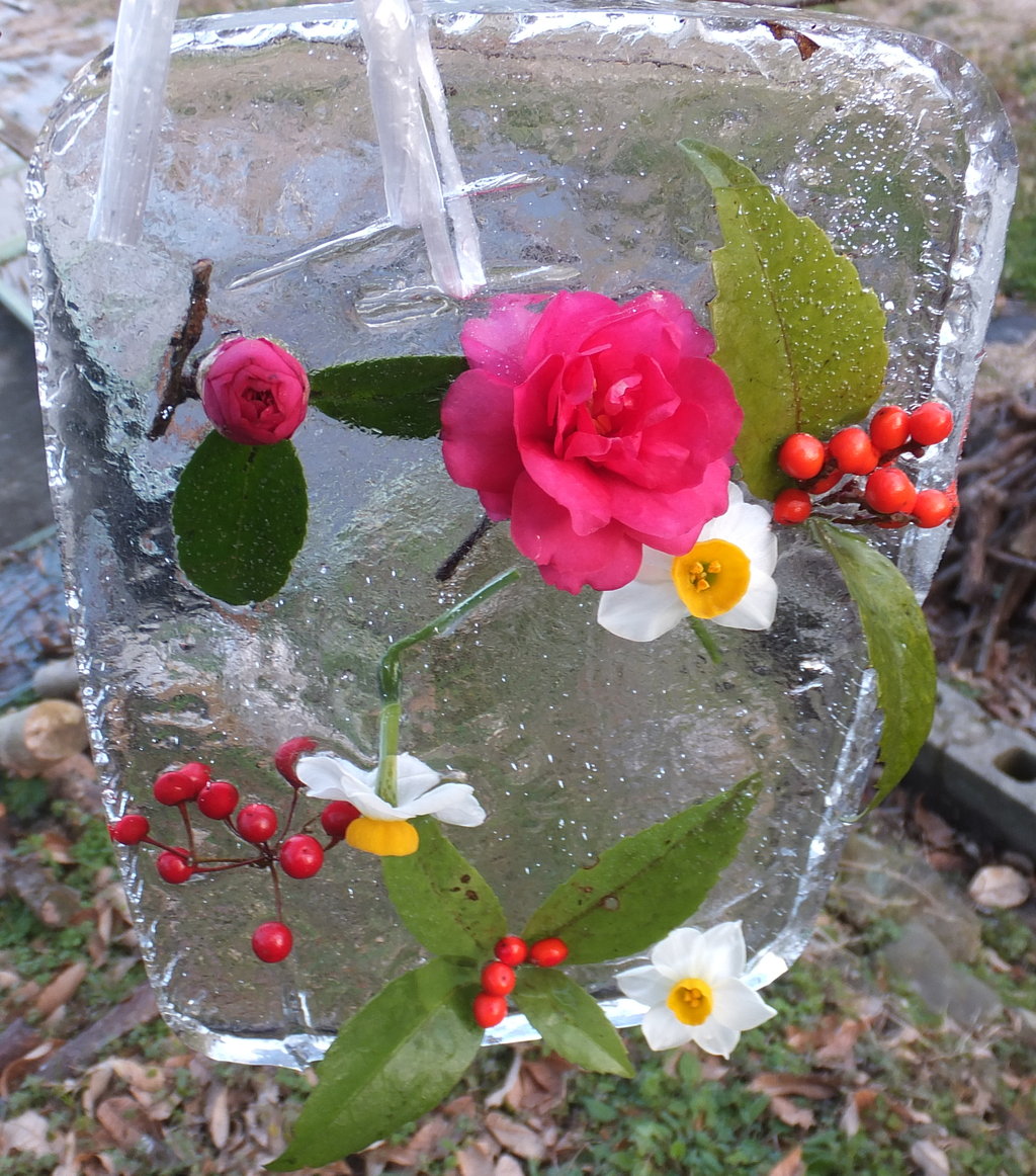 今朝の氷柱花 みぞうえのblog